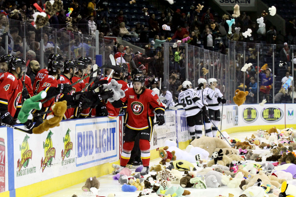 Teddy Bear Toss in 360-Degrees (Created 2018)